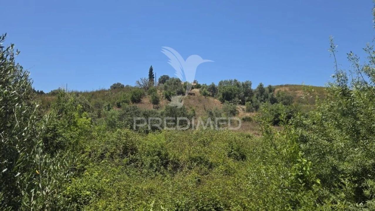 Quinta T4 para Venda em São Marcos da Serra Foto 8