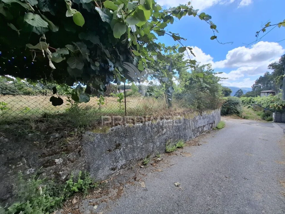 Terreno para Venda em Valbom (São Pedro), Passô e Valbom (São Martinho) Foto 4
