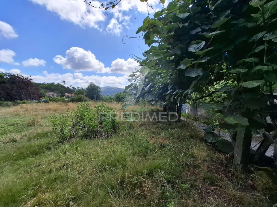 Terreno para Venda em Valbom (São Pedro), Passô e Valbom (São Martinho) Foto 6