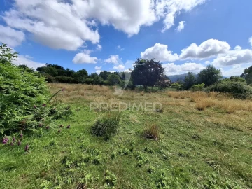 Terreno para Venda em Valbom (São Pedro), Passô e Valbom (São Martinho)