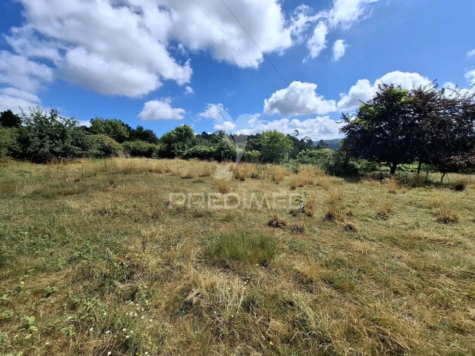 Terreno para Venda em Valbom (São Pedro), Passô e Valbom (São Martinho) Foto 14