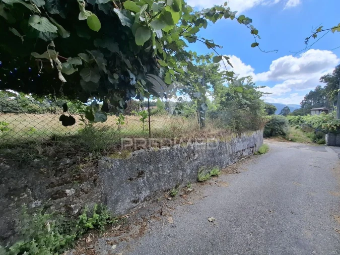 Terreno para Venda em Valbom (São Pedro), Passô e Valbom (São Martinho) Foto 4