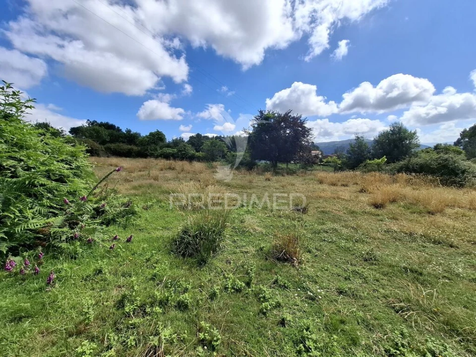 Terreno para Venda em Valbom (São Pedro), Passô e Valbom (São Martinho) Foto 12