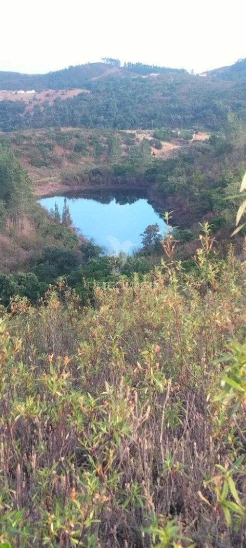 Terreno para Venda em São Bartolomeu de Messines