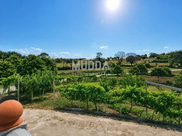 Moradia T4 para Venda em Travancas e Roriz