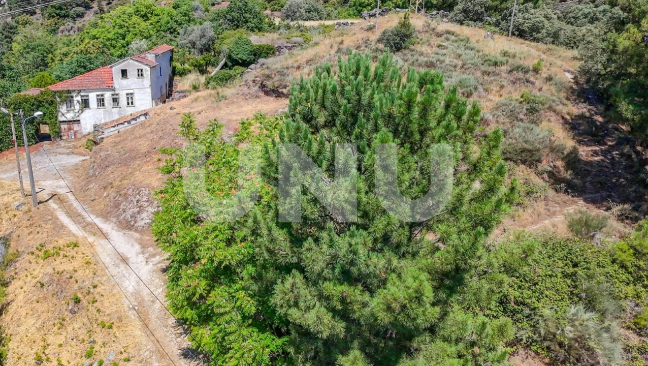 Terreno para Venda em Covilhã e Canhoso Foto 2
