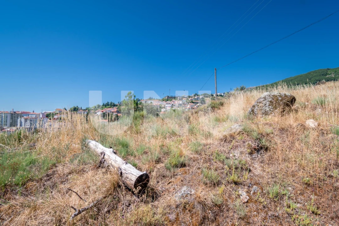 Terreno para Venda em Covilhã e Canhoso Foto 15