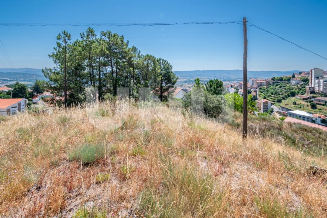 Terreno para Venda em Covilhã e Canhoso Foto 19