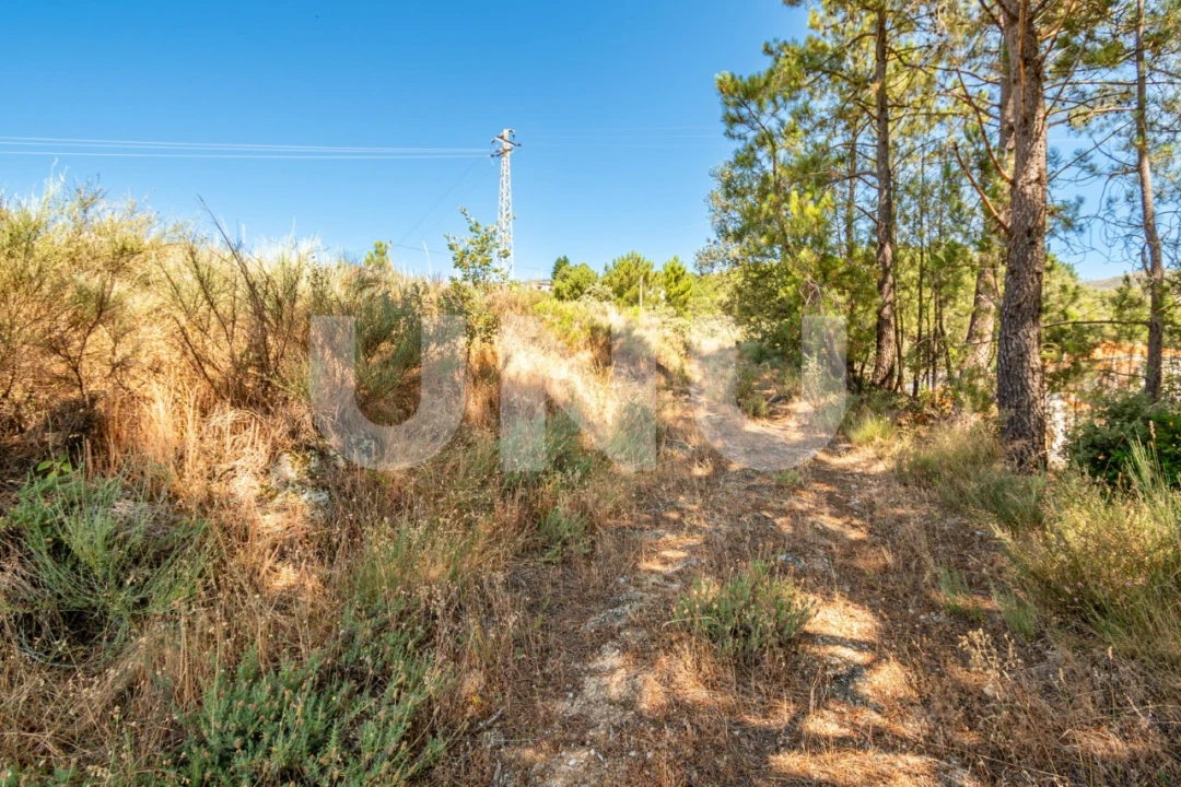 Terreno para Venda em Covilhã e Canhoso Foto 22