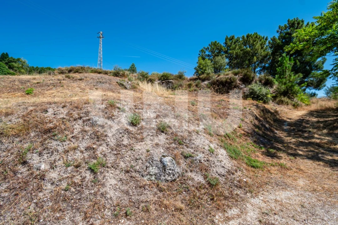 Terreno para Venda em Covilhã e Canhoso Foto 24