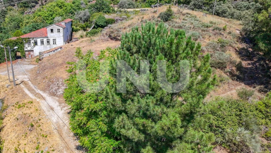 Terreno para Venda em Covilhã e Canhoso Foto 2
