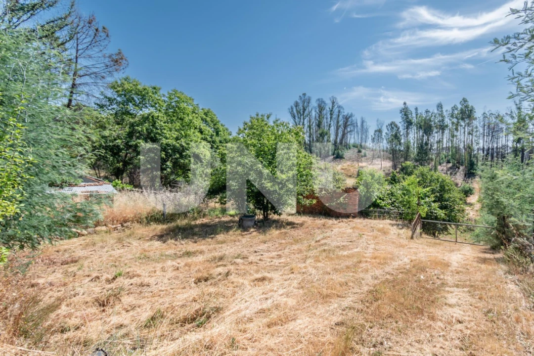 Terreno Agricola ou Rústico para Venda em Erada Foto 6