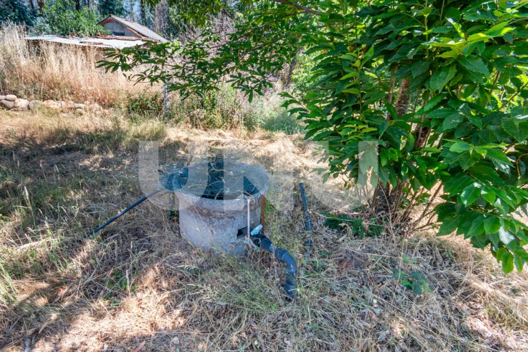 Terreno Agricola ou Rústico para Venda em Erada Foto 7