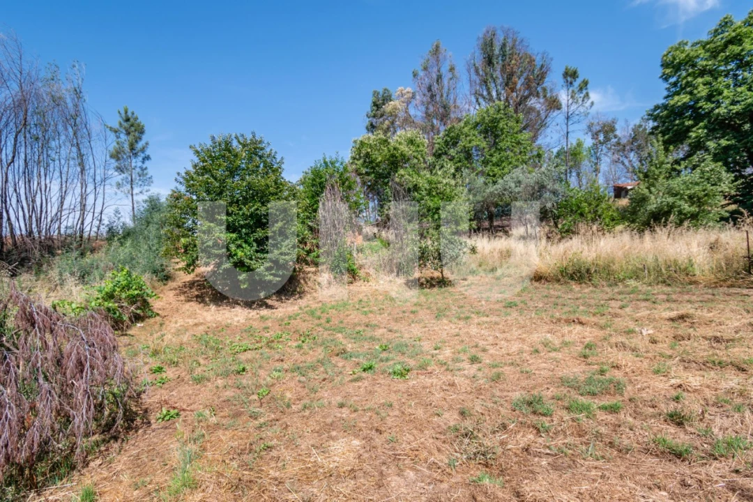 Terreno Agricola ou Rústico para Venda em Erada Foto 10