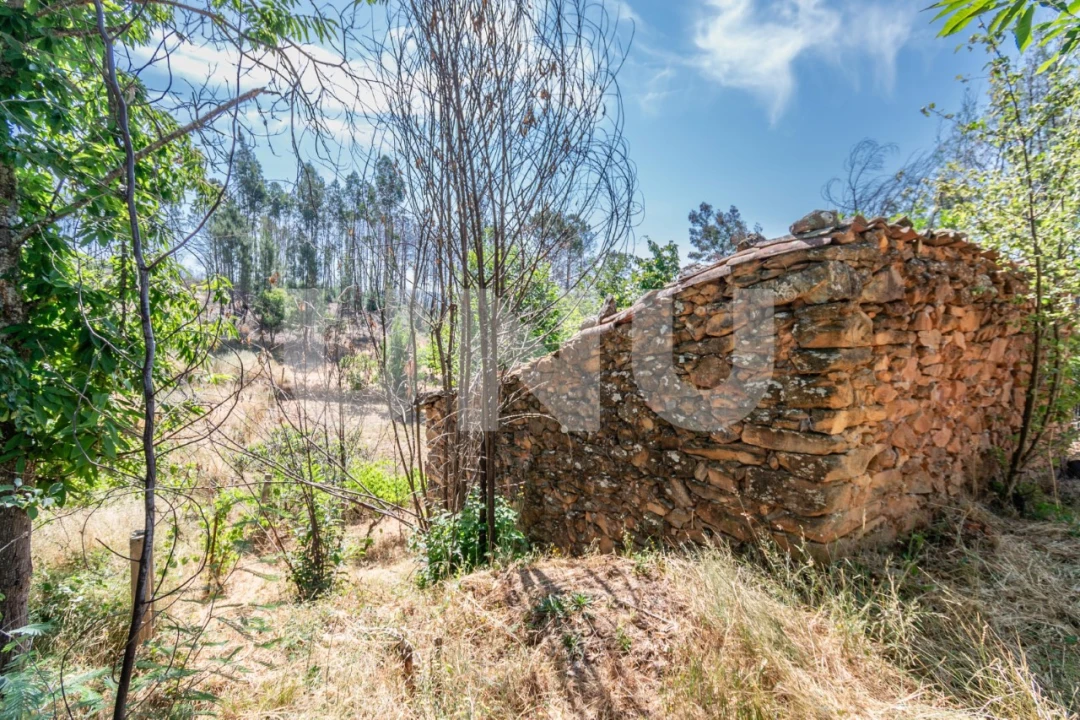 Terreno Agricola ou Rústico para Venda em Erada Foto 11
