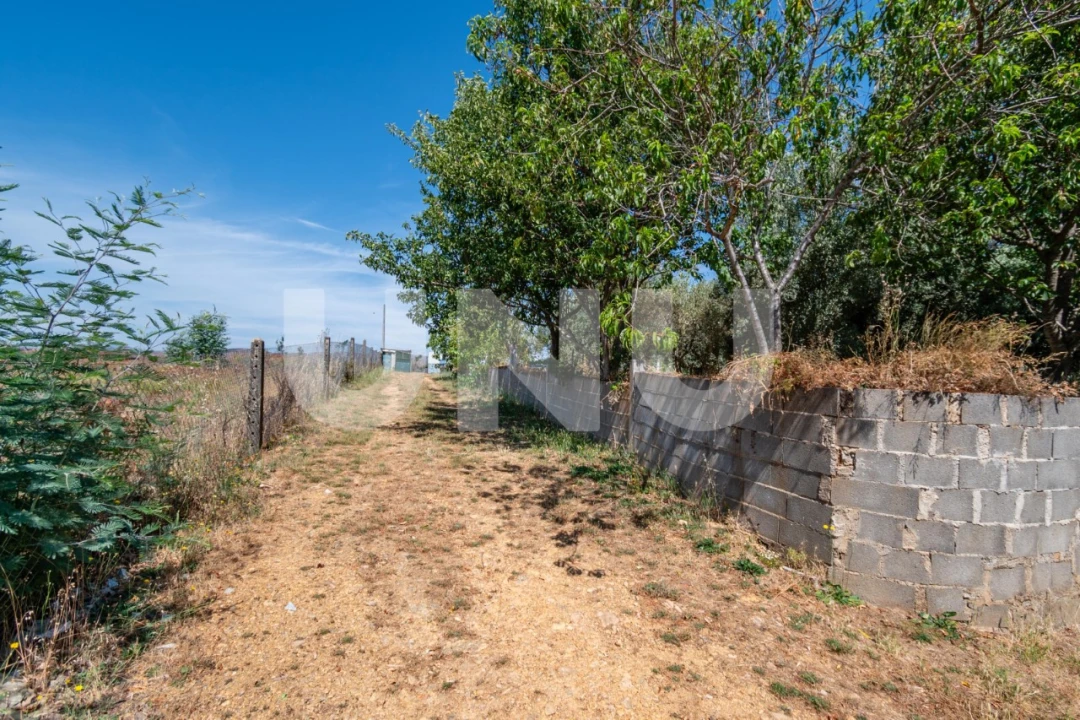 Terreno Agricola ou Rústico para Venda em Erada Foto 12