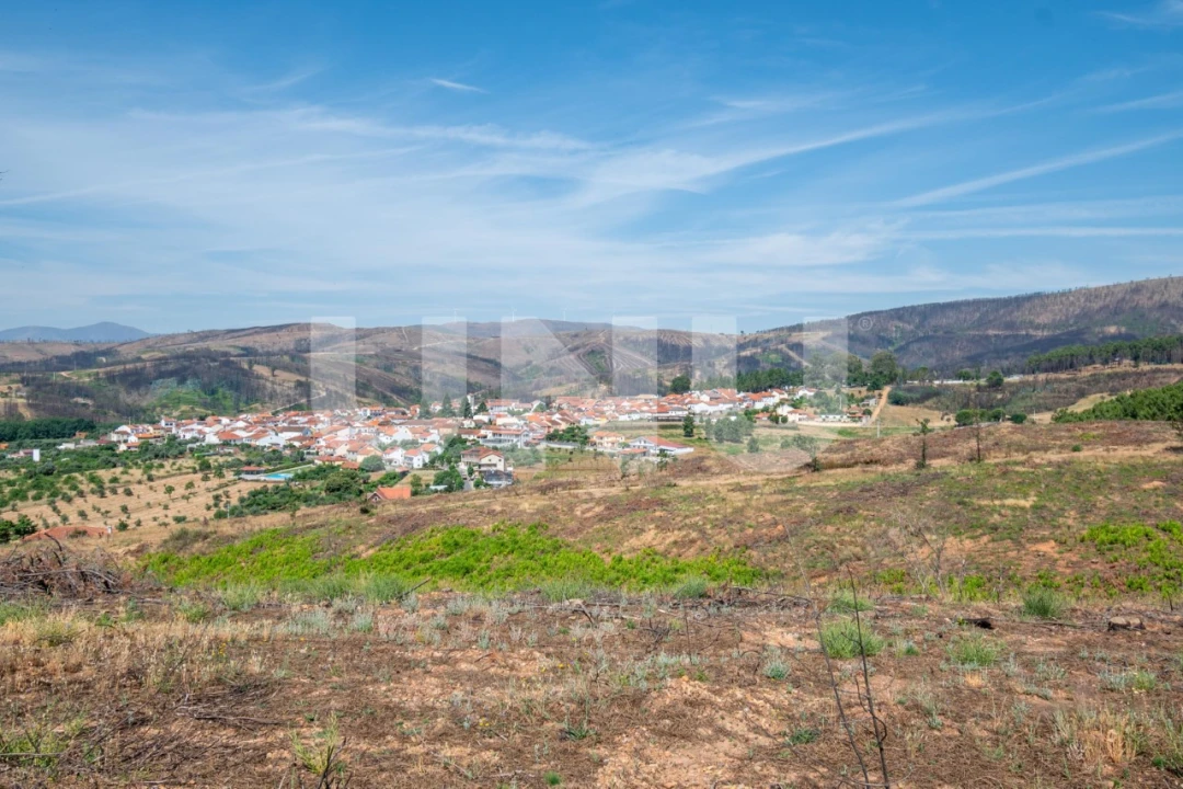 Terreno Agricola ou Rústico para Venda em Erada Foto 14