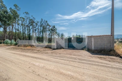 Terreno Agricola ou Rústico para Venda em Erada