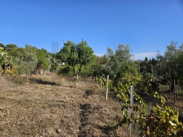 Terreno para Venda em Santo Antonio dos Olivais