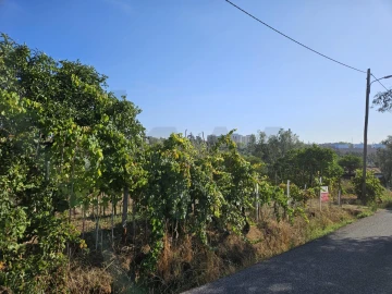 Terreno para Venda em Santo Antonio dos Olivais