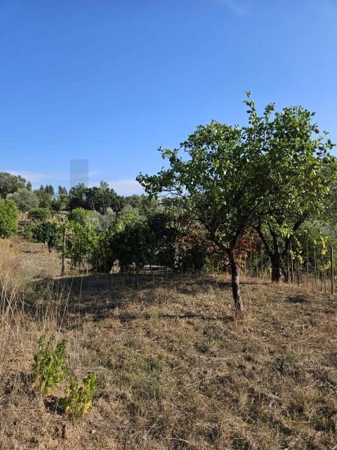 Terreno para Venda em Santo Antonio dos Olivais
