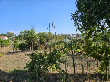 Terreno para Venda em Santo Antonio dos Olivais