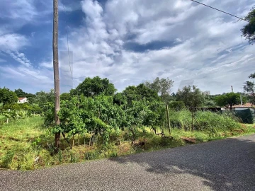Terreno para Venda em Santo Antonio dos Olivais