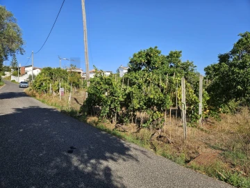 Terreno para Venda em Santo Antonio dos Olivais