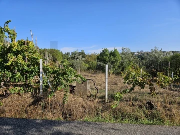 Terreno para Venda em Santo Antonio dos Olivais