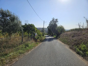 Terreno para Venda em Santo Antonio dos Olivais