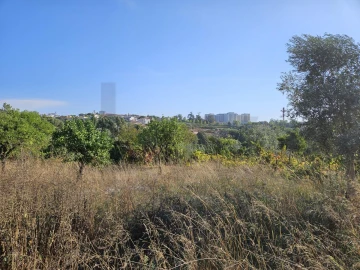 Terreno para Venda em Santo Antonio dos Olivais