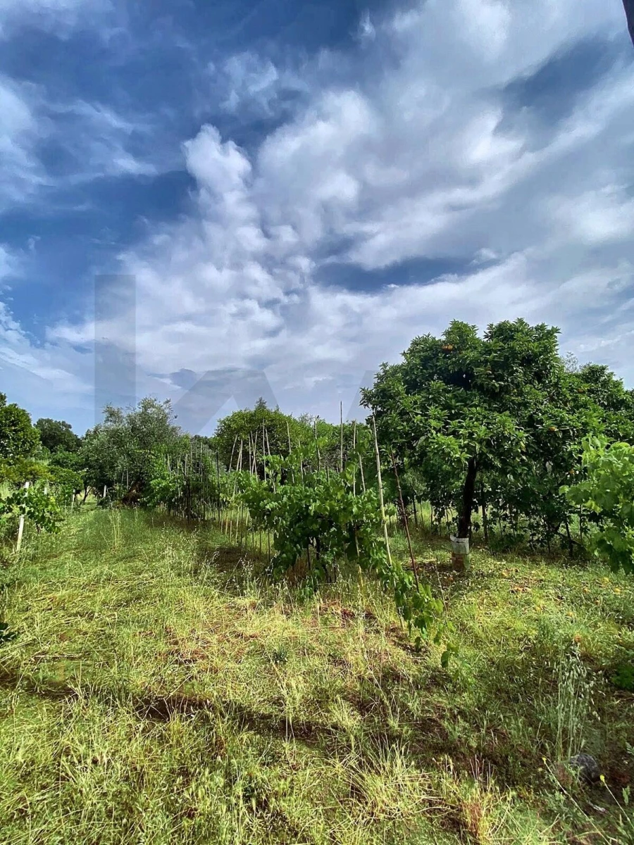 Terreno para Venda em Santo Antonio dos Olivais Foto 2