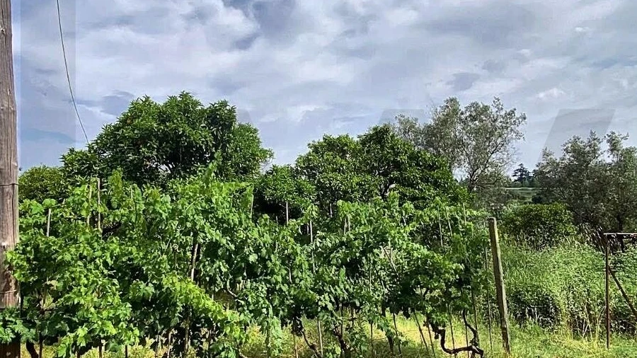 Terreno para Venda em Santo Antonio dos Olivais
