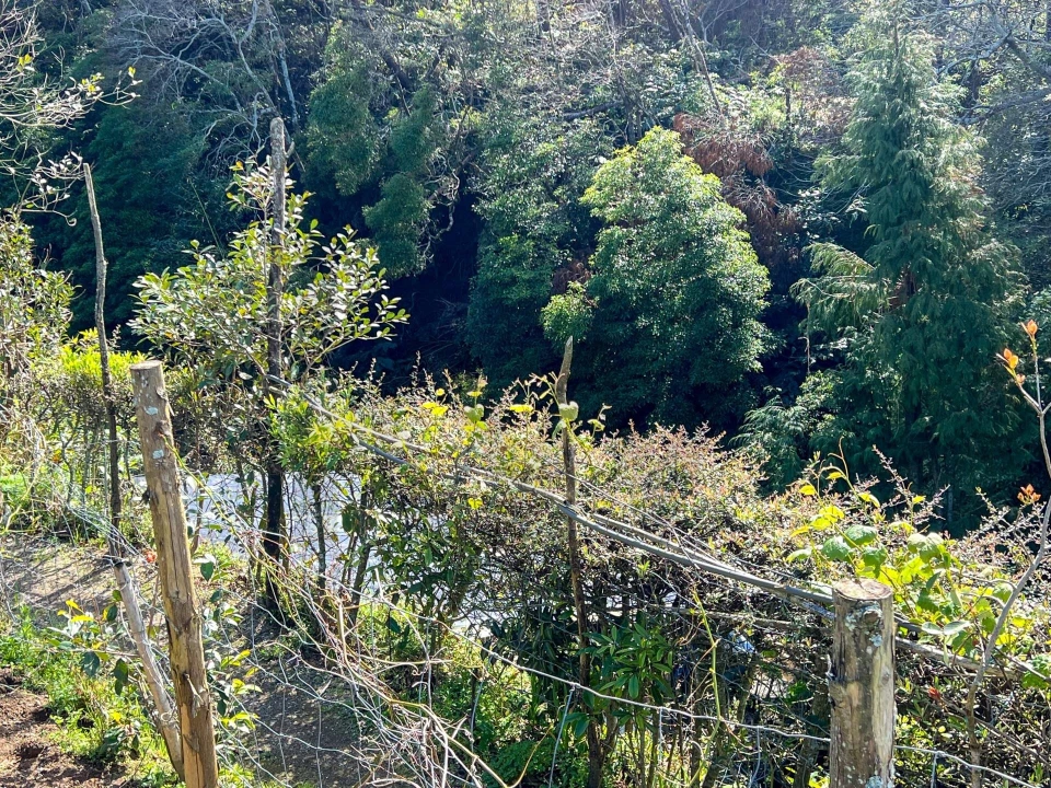 Terreno para Venda em Lomba da Maia Foto 14