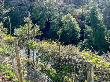 Terreno para Venda em Lomba da Maia