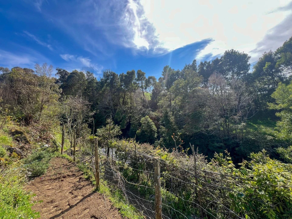 Terreno para Venda em Lomba da Maia Foto 13