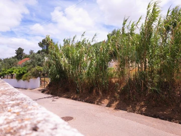 Moradia T2 para Venda em Santa Margarida da Coutada