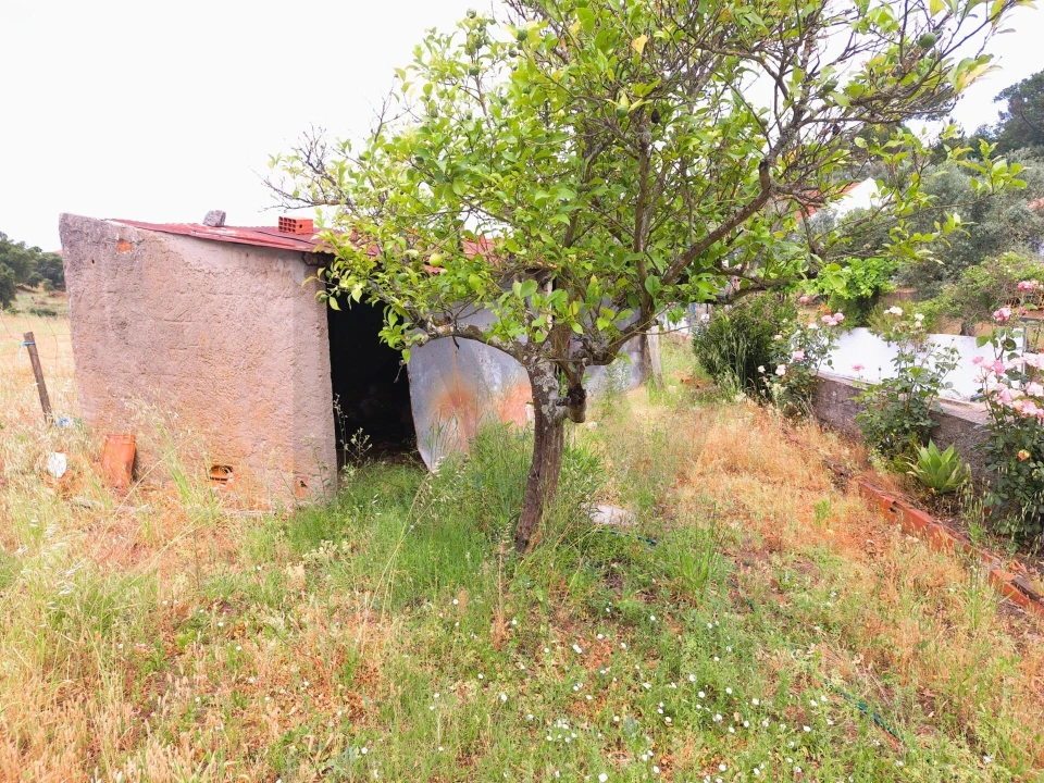 Moradia T2 para Venda em Santa Margarida da Coutada Foto 27