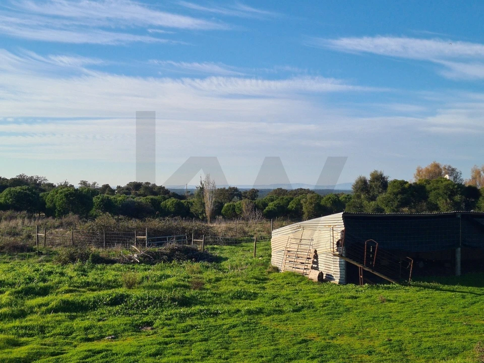 Quinta T3 para Venda em Grândola e Santa Margarida da Serra Foto 15