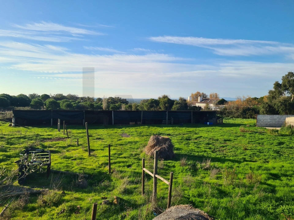 Quinta T3 para Venda em Grândola e Santa Margarida da Serra Foto 18