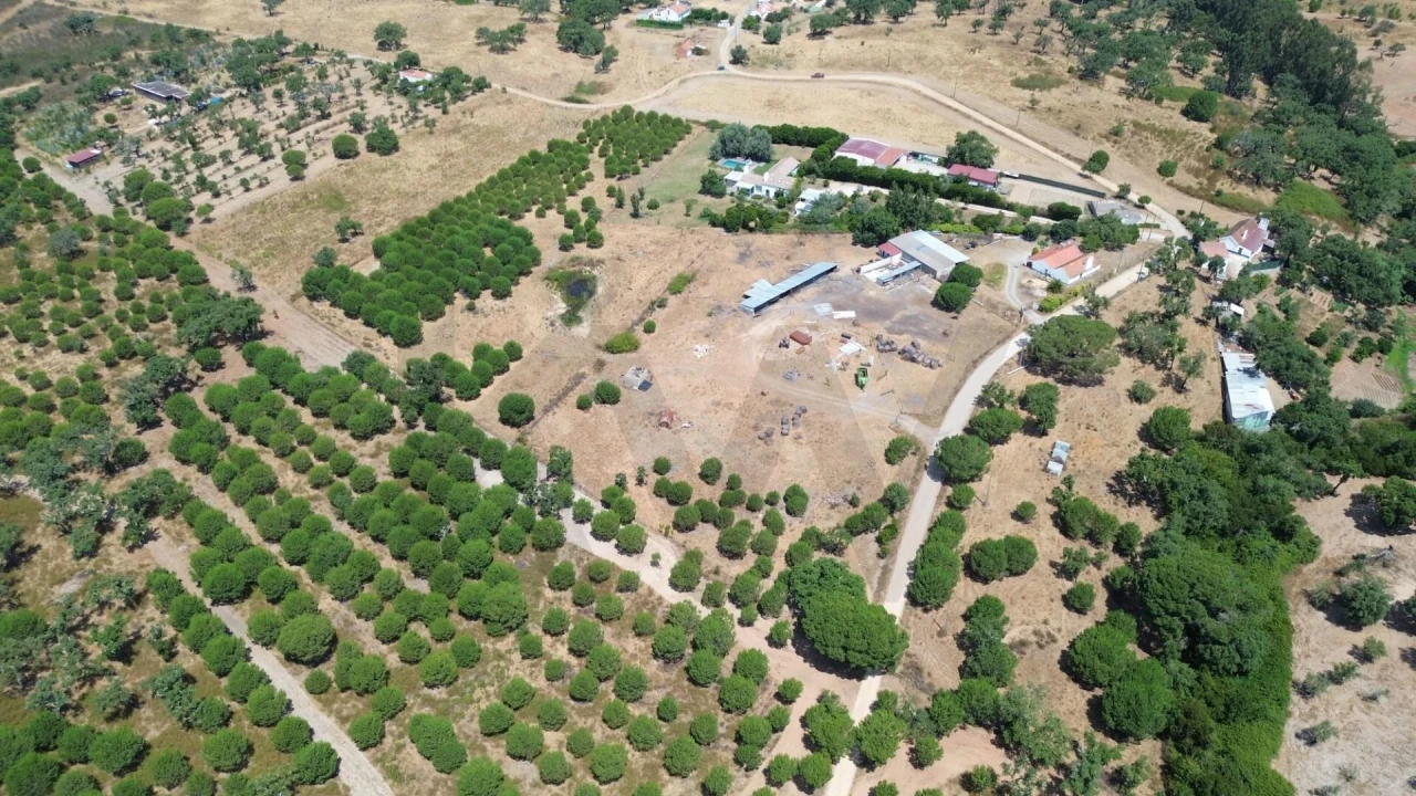 Quinta T3 para Venda em Grândola e Santa Margarida da Serra Foto 7
