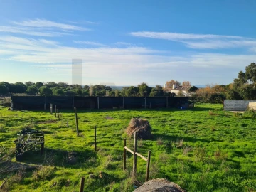 Quinta T3 para Venda em Grândola e Santa Margarida da Serra