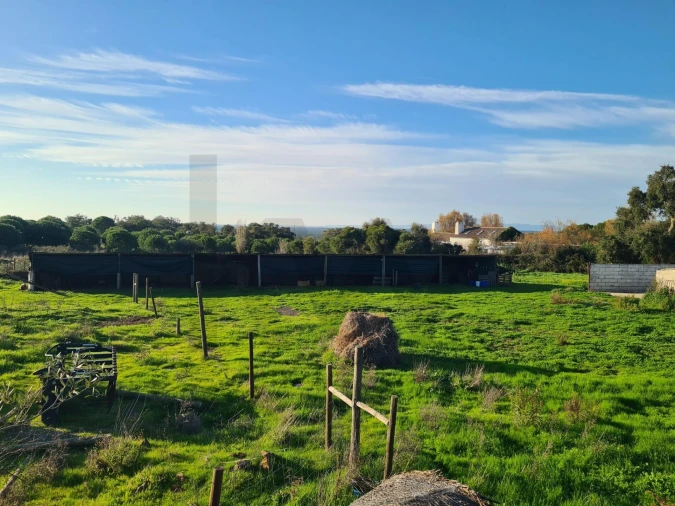 Quinta T3 para Venda em Grândola e Santa Margarida da Serra Foto 18