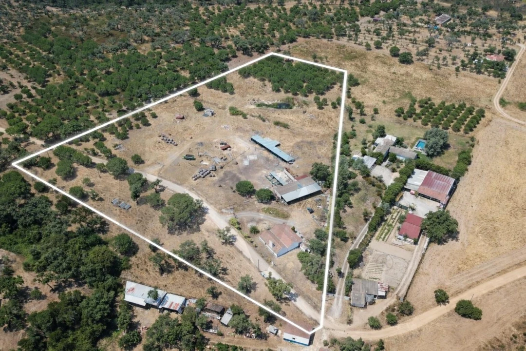 Quinta T3 para Venda em Grândola e Santa Margarida da Serra Foto 3