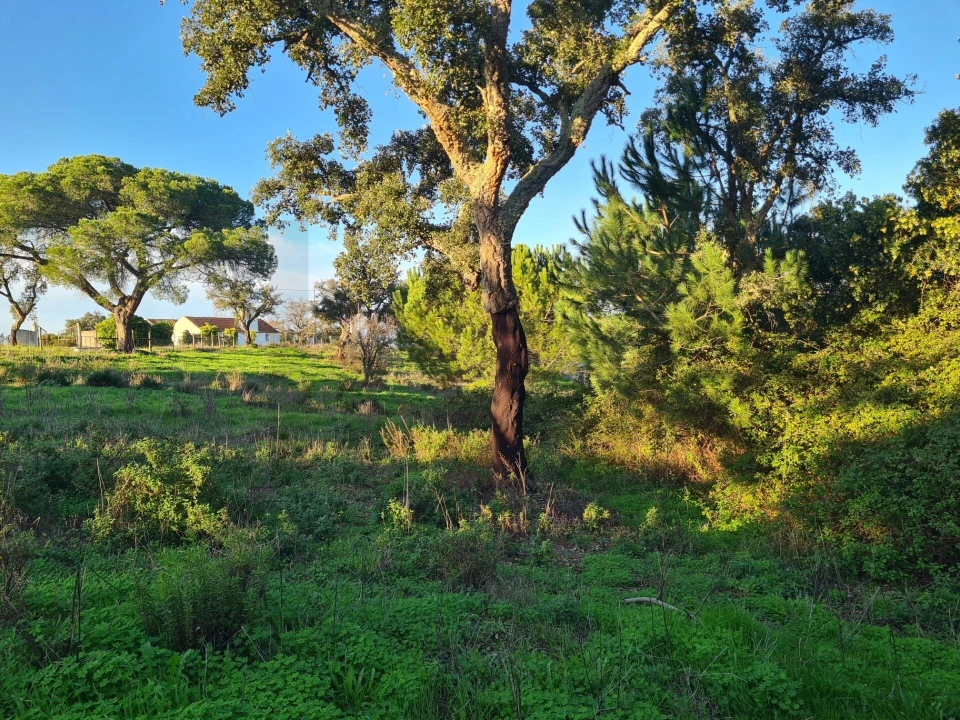 Quinta T3 para Venda em Grândola e Santa Margarida da Serra Foto 22