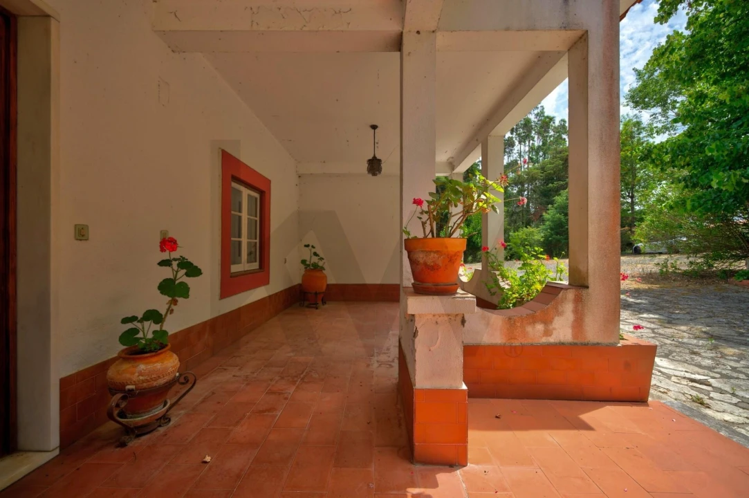 Quinta T5 para Venda em Caldas da Rainha - Santo Onofre e Serra do Bouro Foto 3
