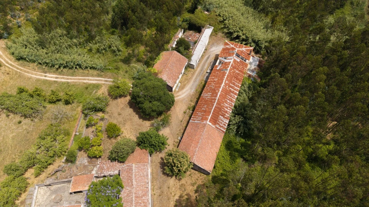 Quinta T5 para Venda em Caldas da Rainha - Santo Onofre e Serra do Bouro Foto 89