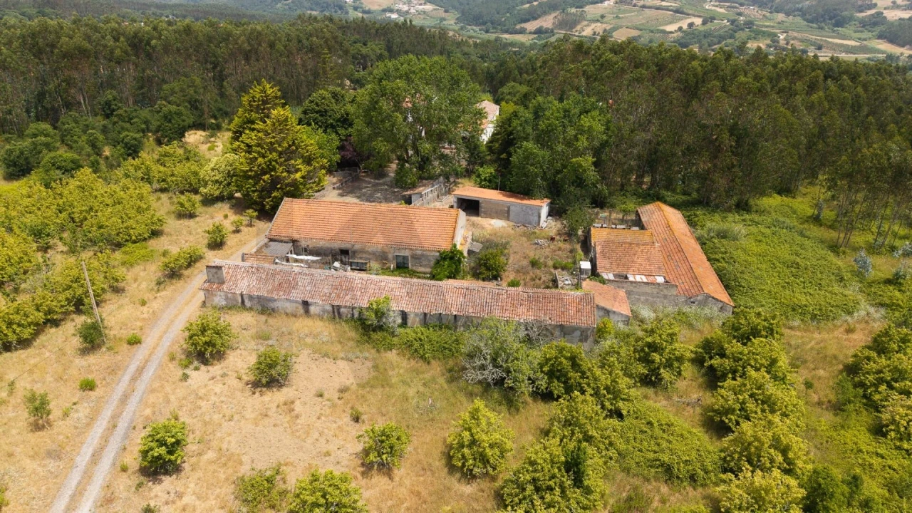 Quinta T5 para Venda em Caldas da Rainha - Santo Onofre e Serra do Bouro Foto 83