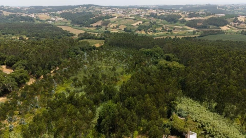 Quinta T5 para Venda em Caldas da Rainha - Santo Onofre e Serra do Bouro