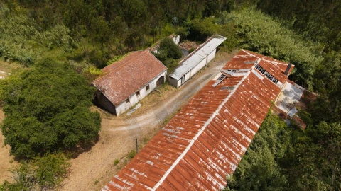 Quinta T5 para Venda em Caldas da Rainha - Santo Onofre e Serra do Bouro